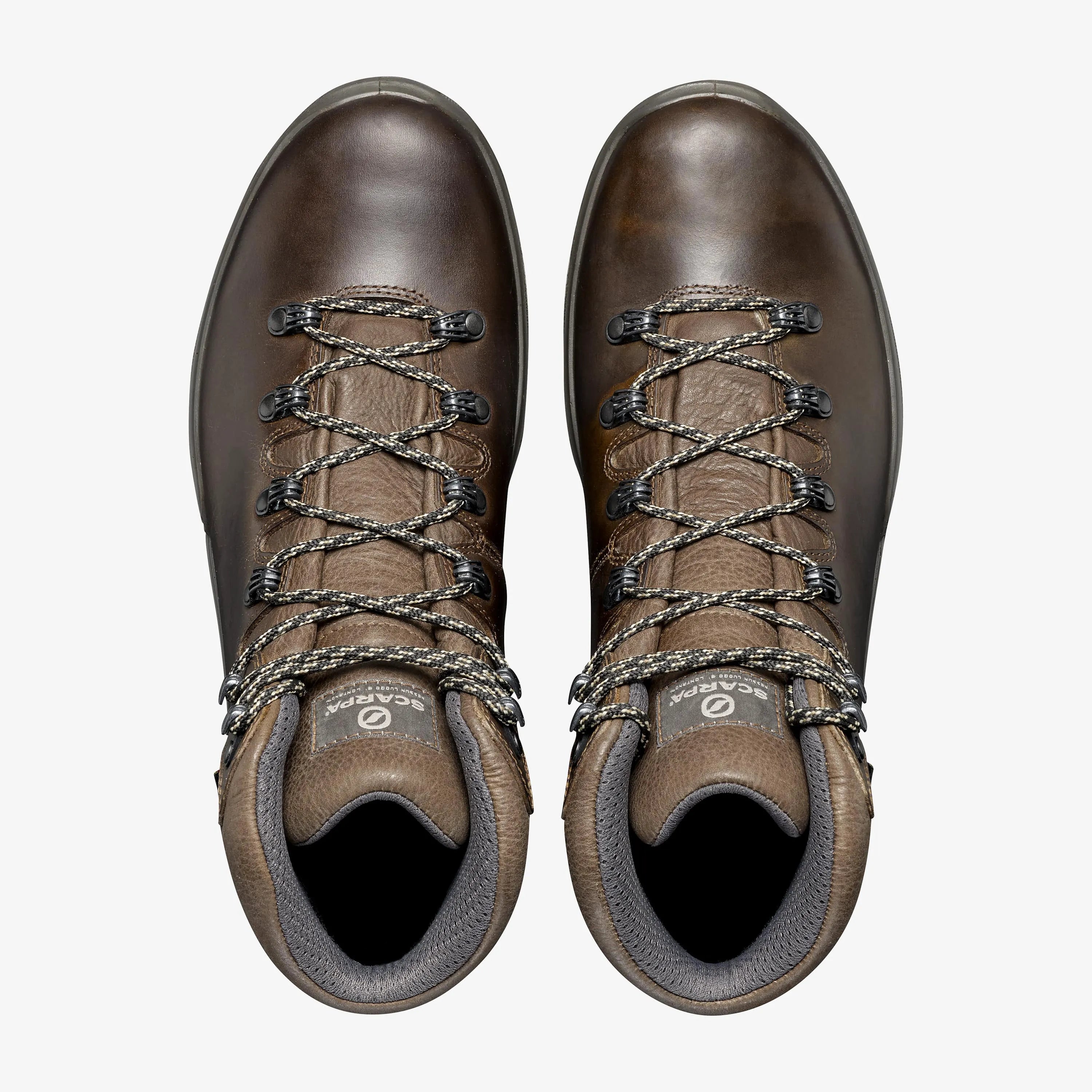 Terra GTX
