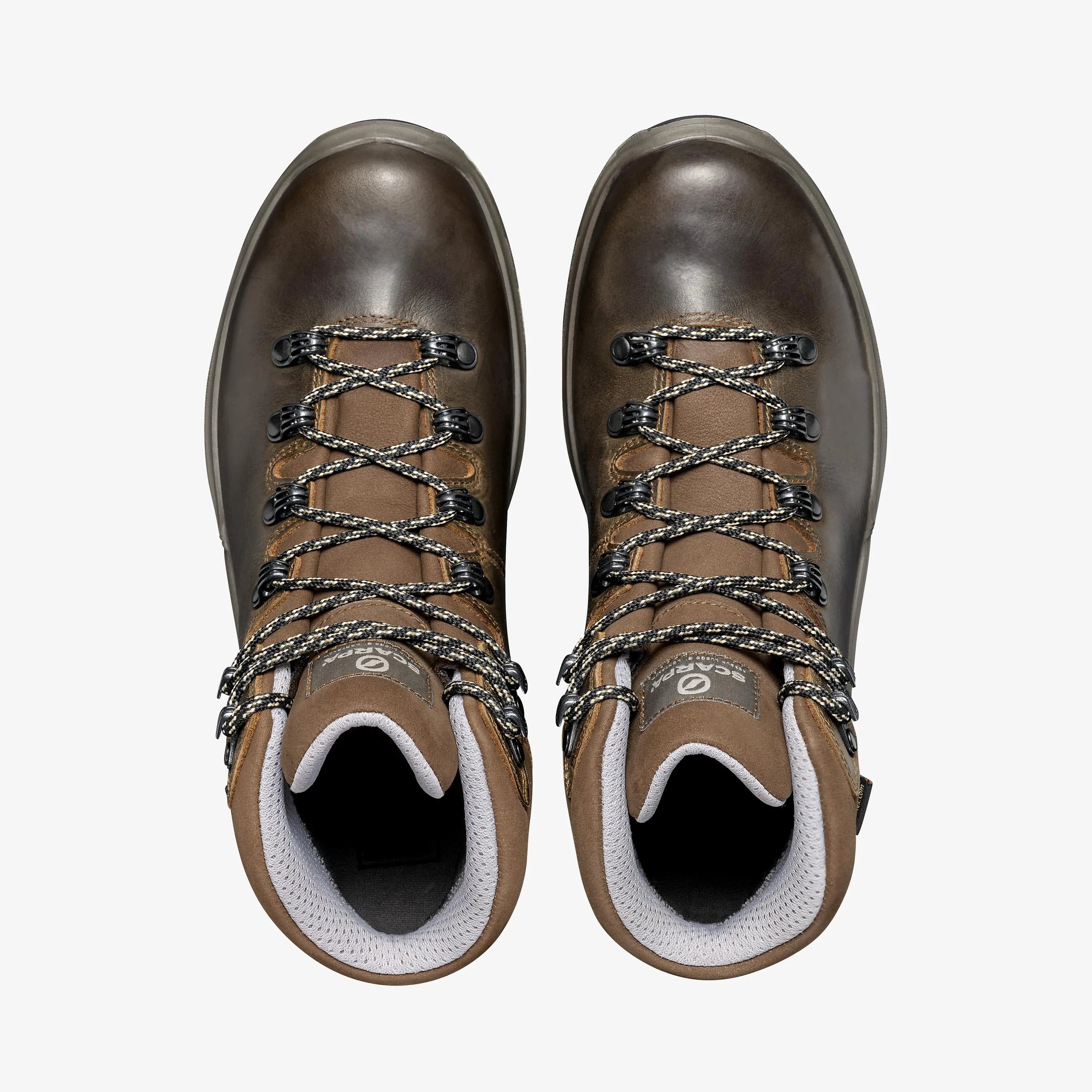 Terra GTX Women's Hiking Boots