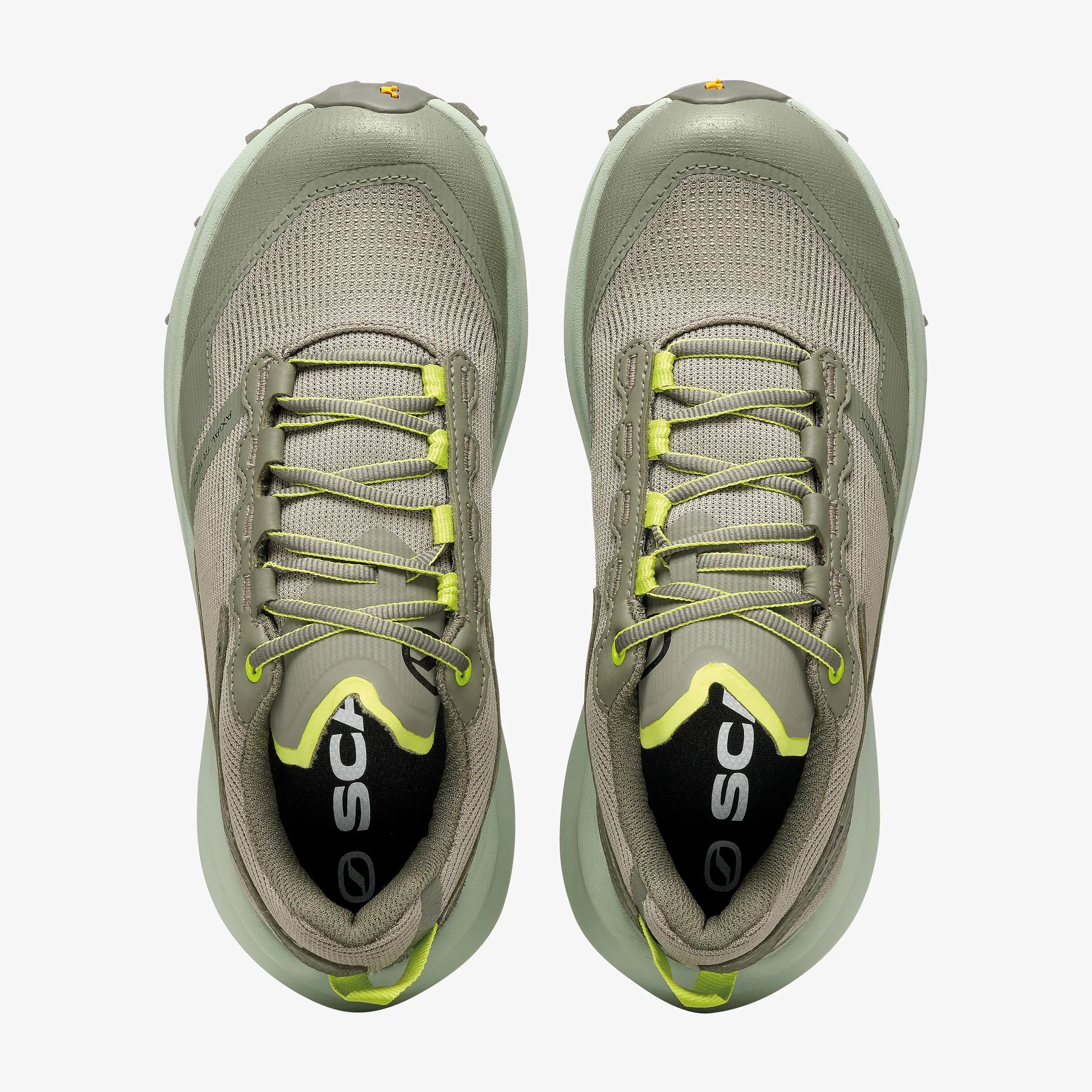 SP GTX-Y