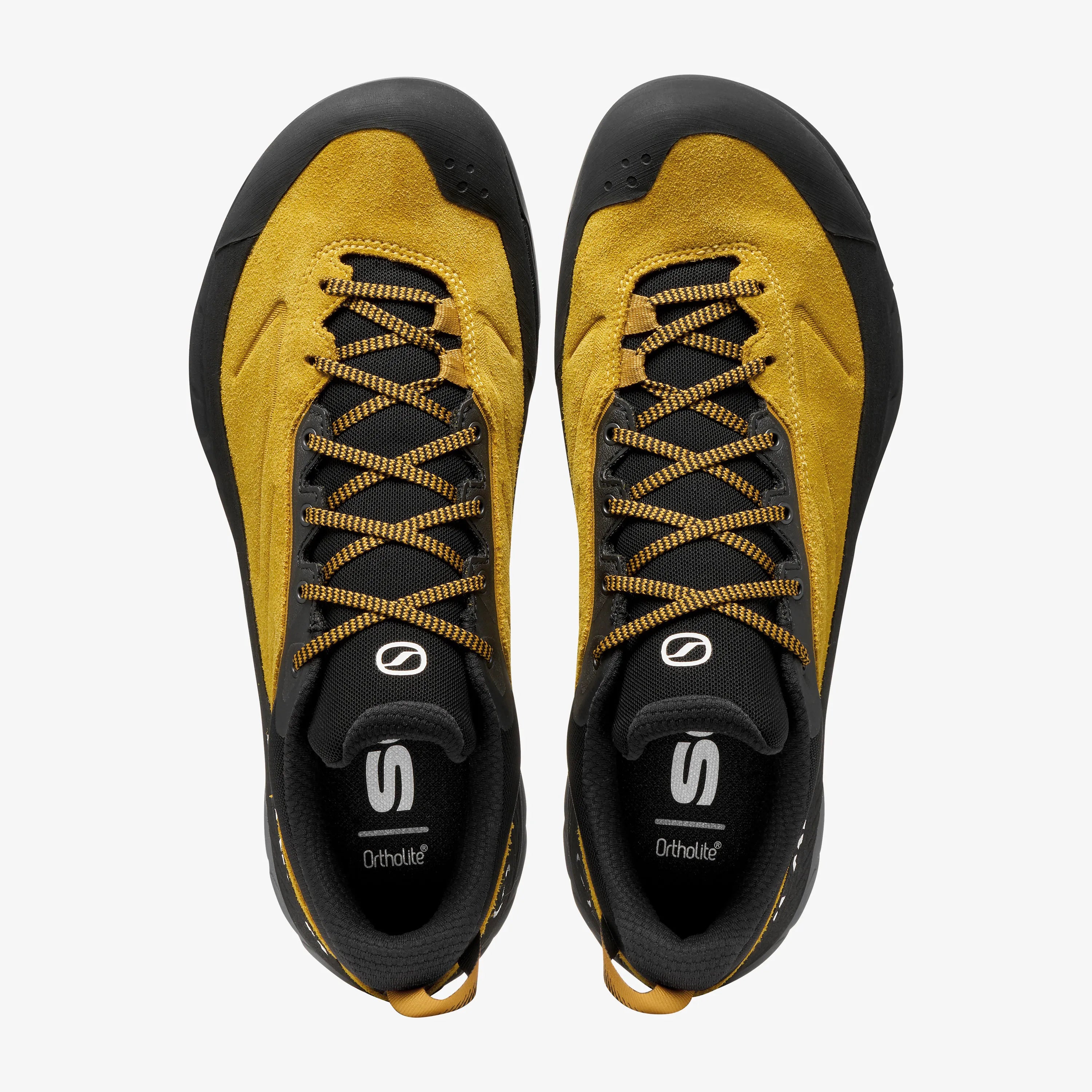 Rapid XT GTX