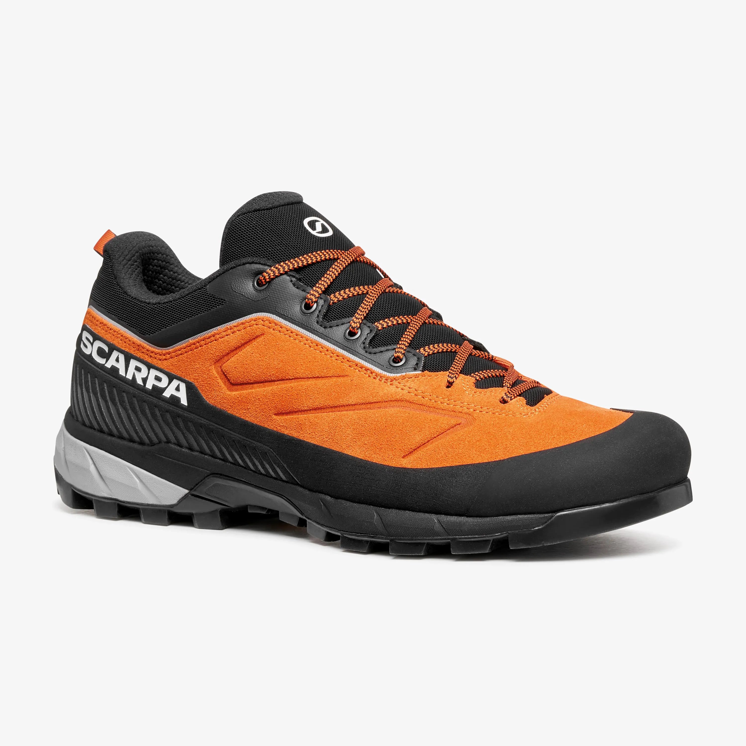 Rapid XT