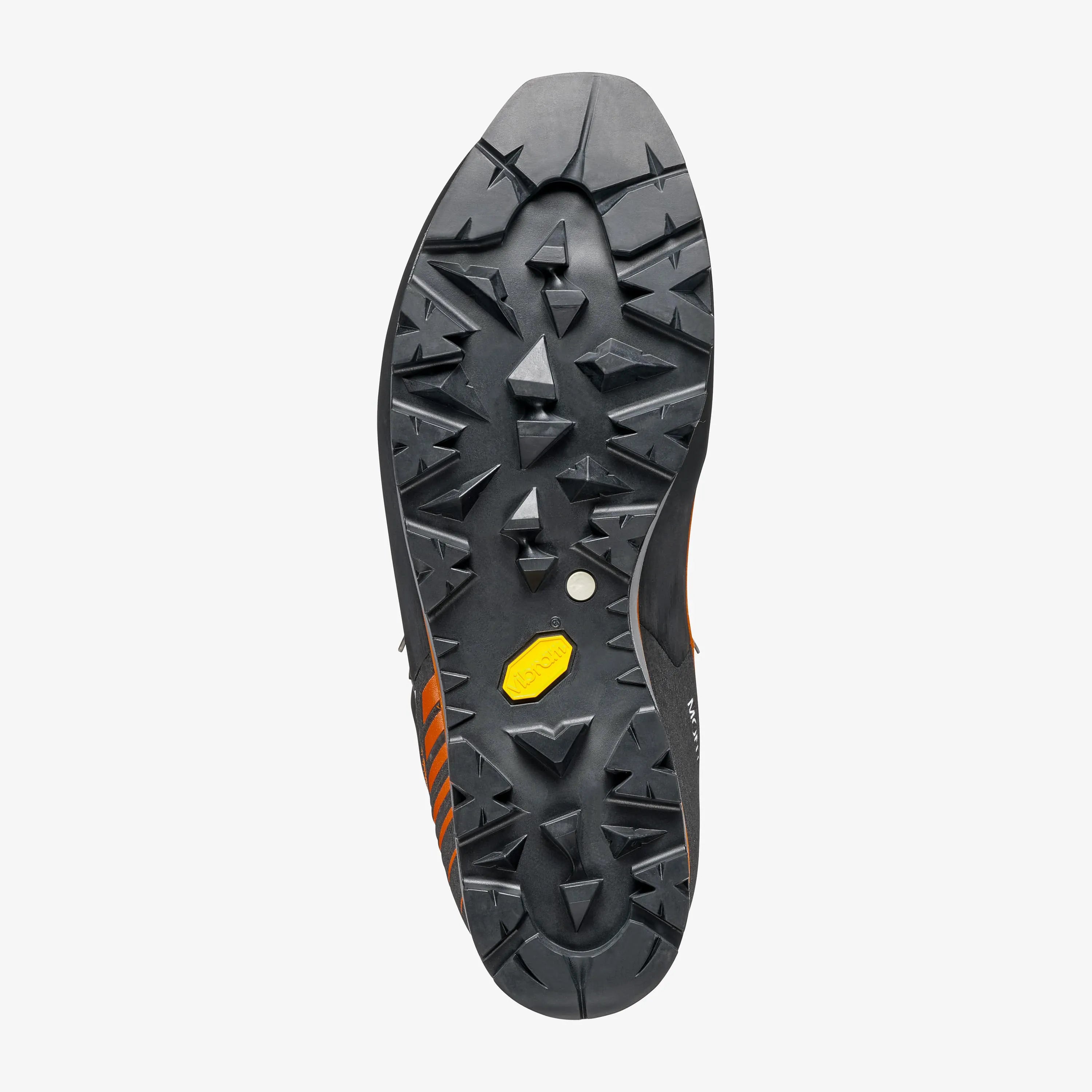 Mont Blanc Pro GTX