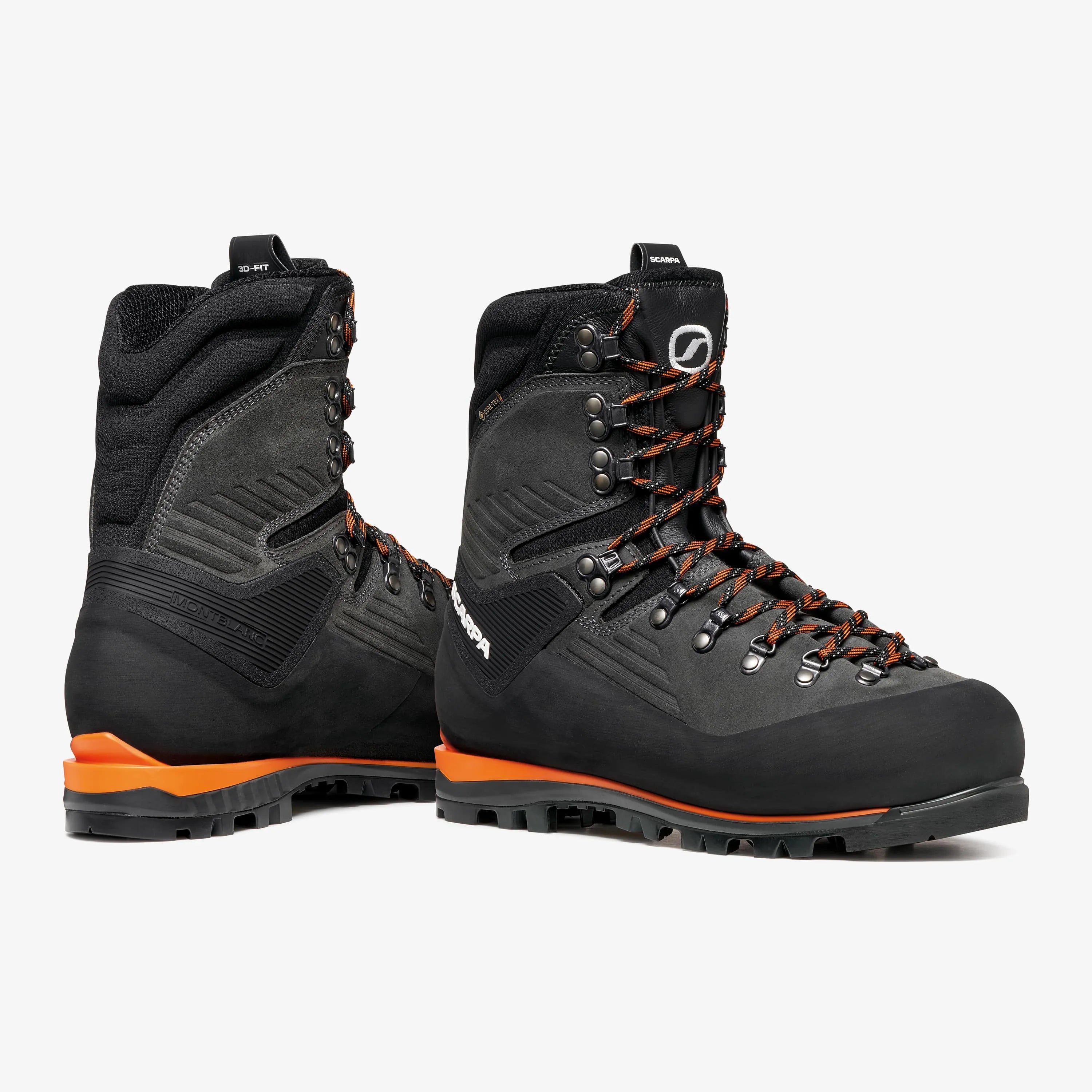 Mont Blanc GTX